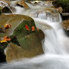 Bachlauf im Wägital