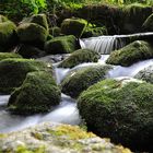 Bachlauf im Wald