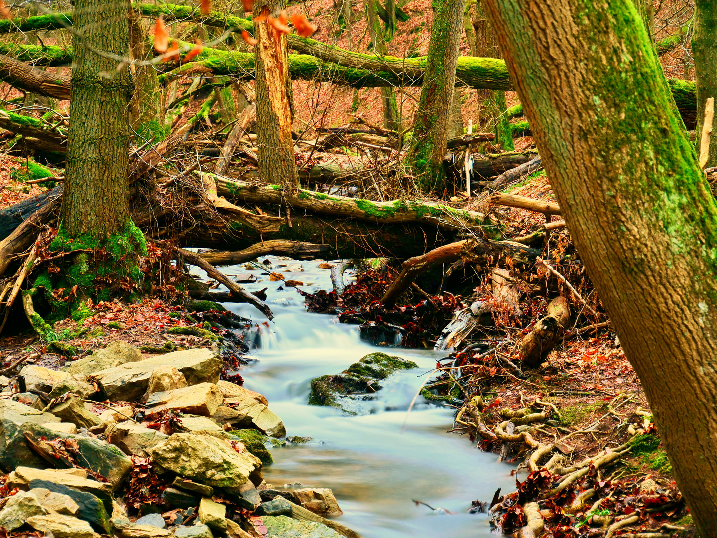 Bachlauf im Wald Foto & Bild landschaft, bach, fluss & see, bachläufe