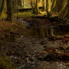 Bachlauf im Wald