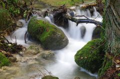 Bachlauf im Wasserfallengebiet