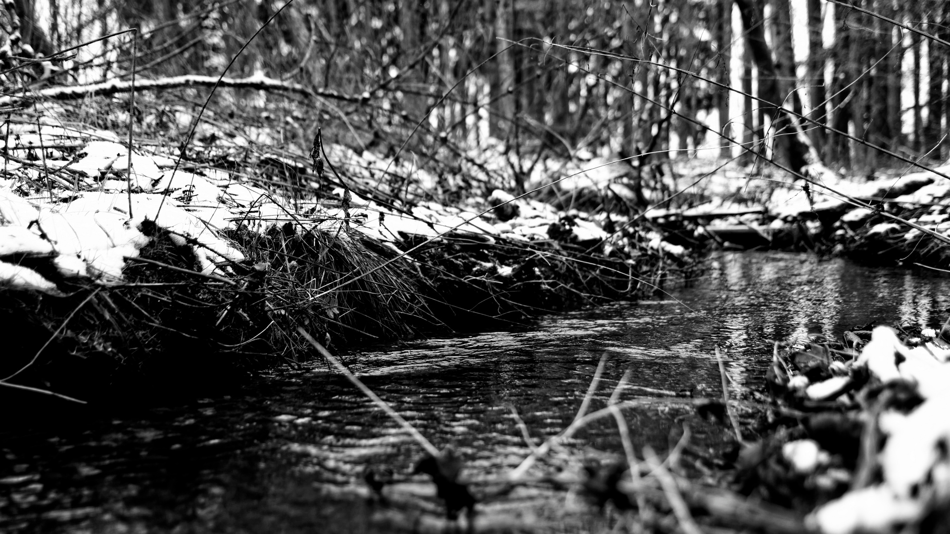 Bachlauf im Winter