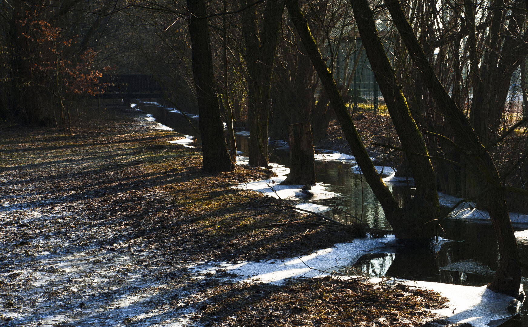 Bachlauf im Winter