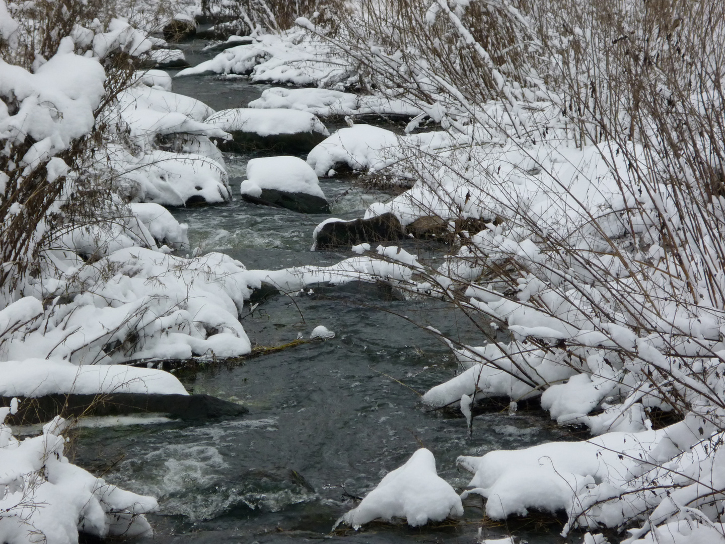 Bachlauf im Winter