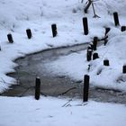 Bachlauf im Winter