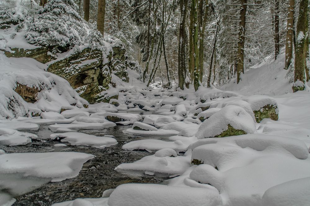 Bachlauf im Winter