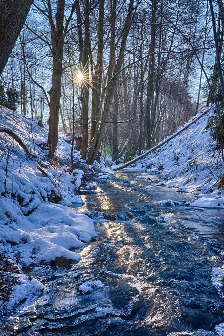 Bachlauf im Winter