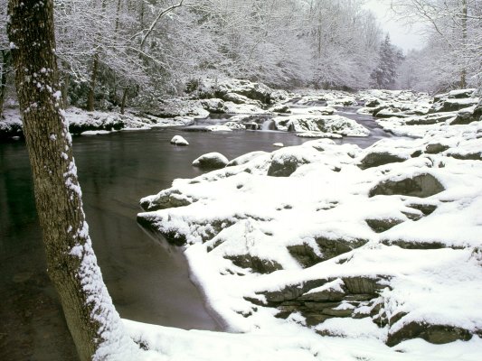 Bachlauf im winterlichen Sauerland