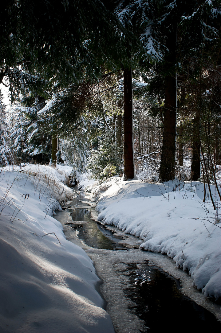 Bachlauf im Winterwald