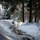 Bachlauf im Winterwald