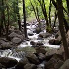 Bachlauf im Yosemite NP