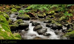 Bachlauf im Zauberwald