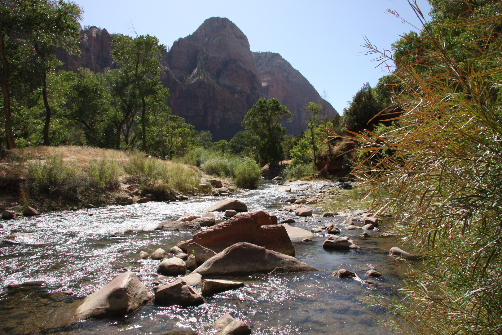 Bachlauf im Zion National Park, Utah, USA