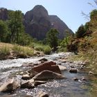 Bachlauf im Zion National Park, Utah, USA