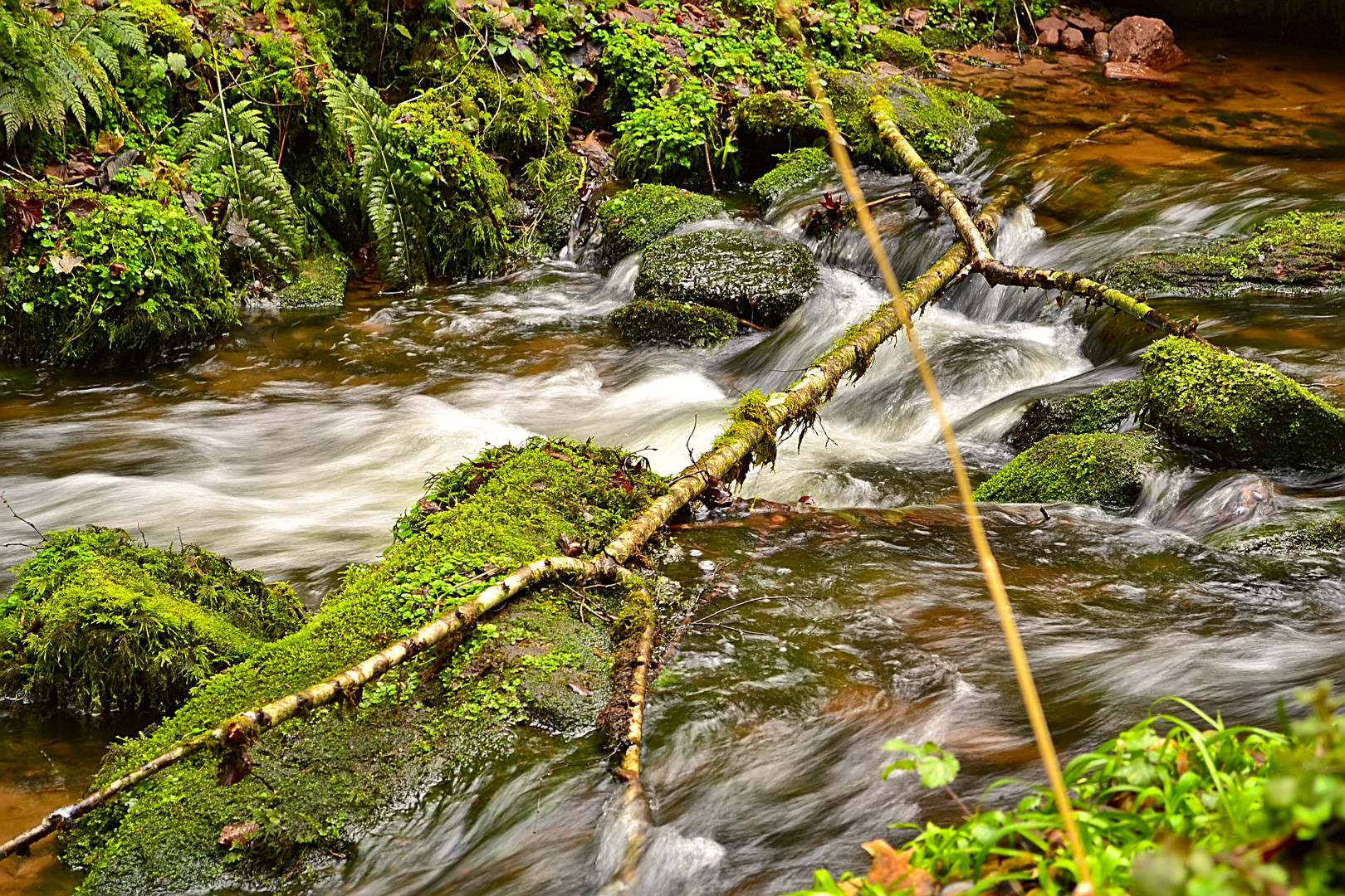 Bachlauf in Bad Liebenzell