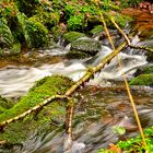 Bachlauf in Bad Liebenzell