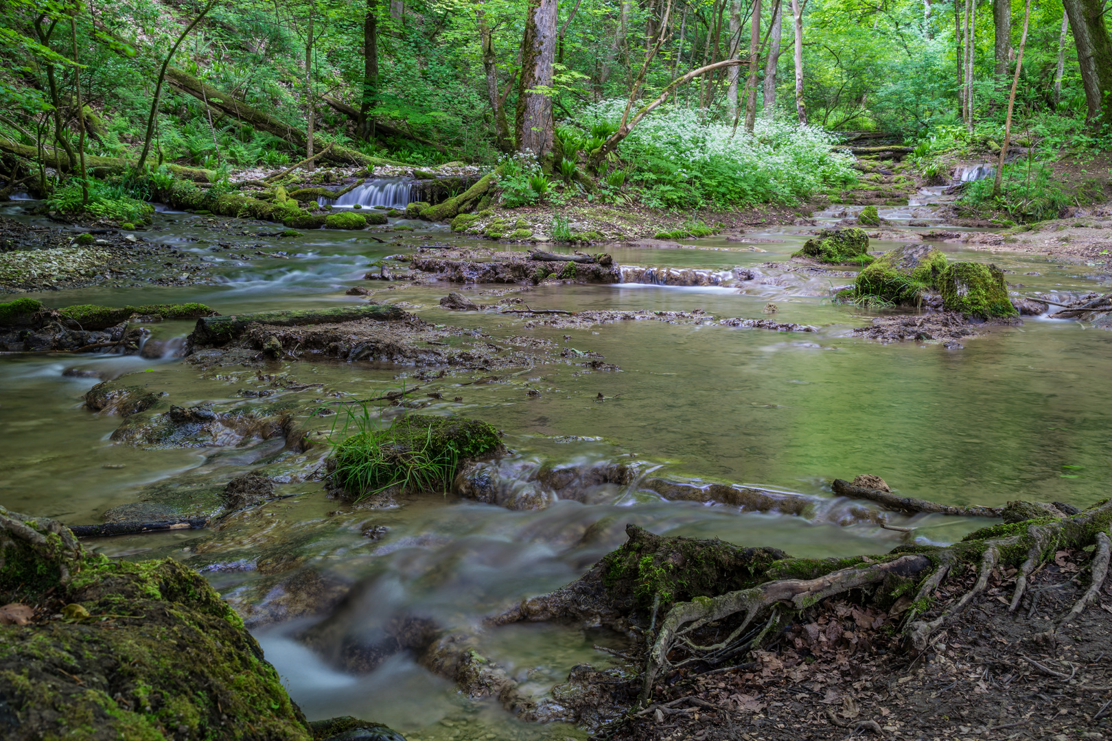 Bachlauf in Bad Urach