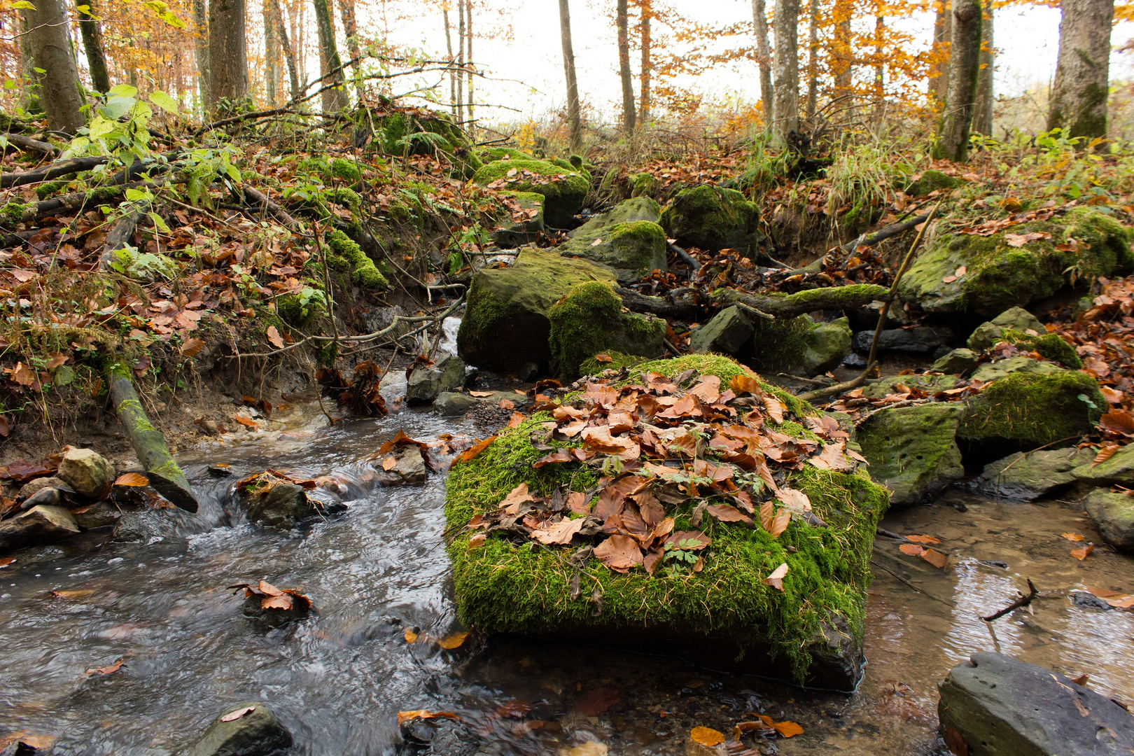 Bachlauf in Bilkheim