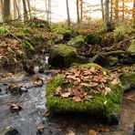 Bachlauf in Bilkheim