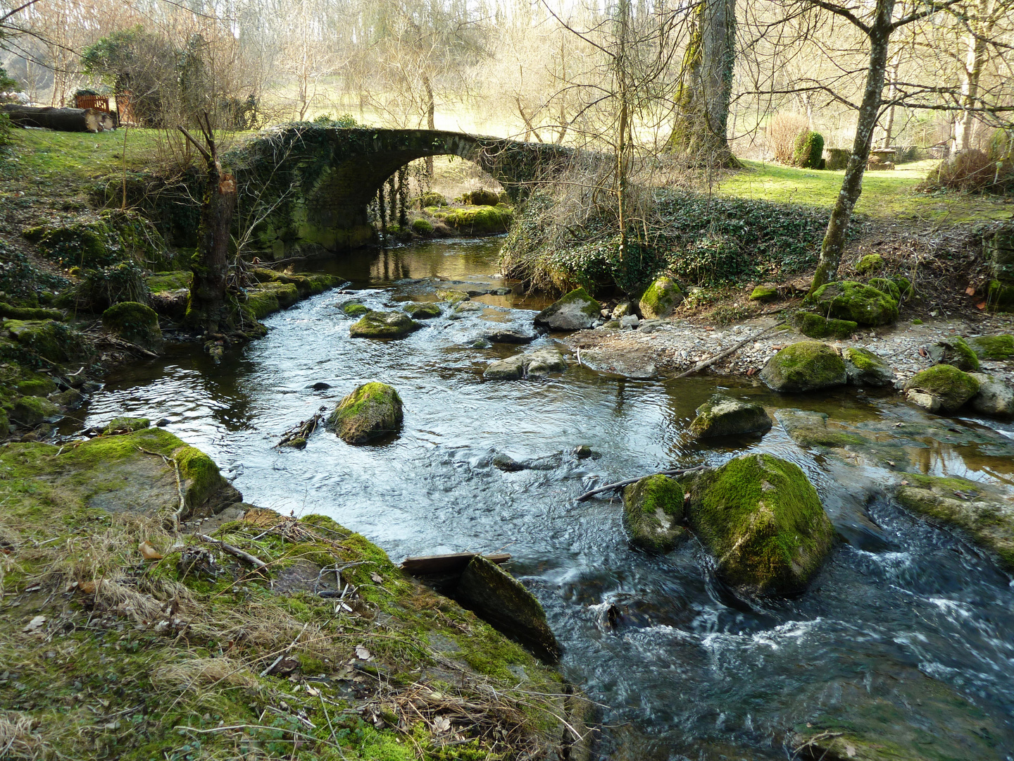 Bachlauf in Burgund