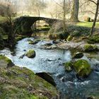 Bachlauf in Burgund