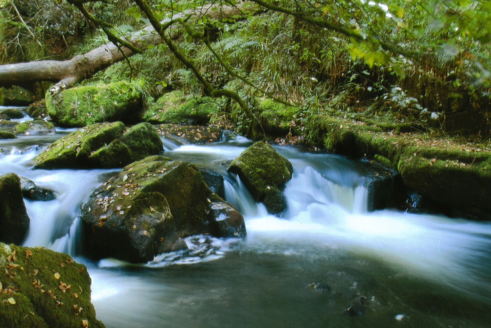 Bachlauf in Cornwall