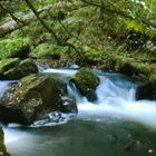 Bachlauf in Cornwall