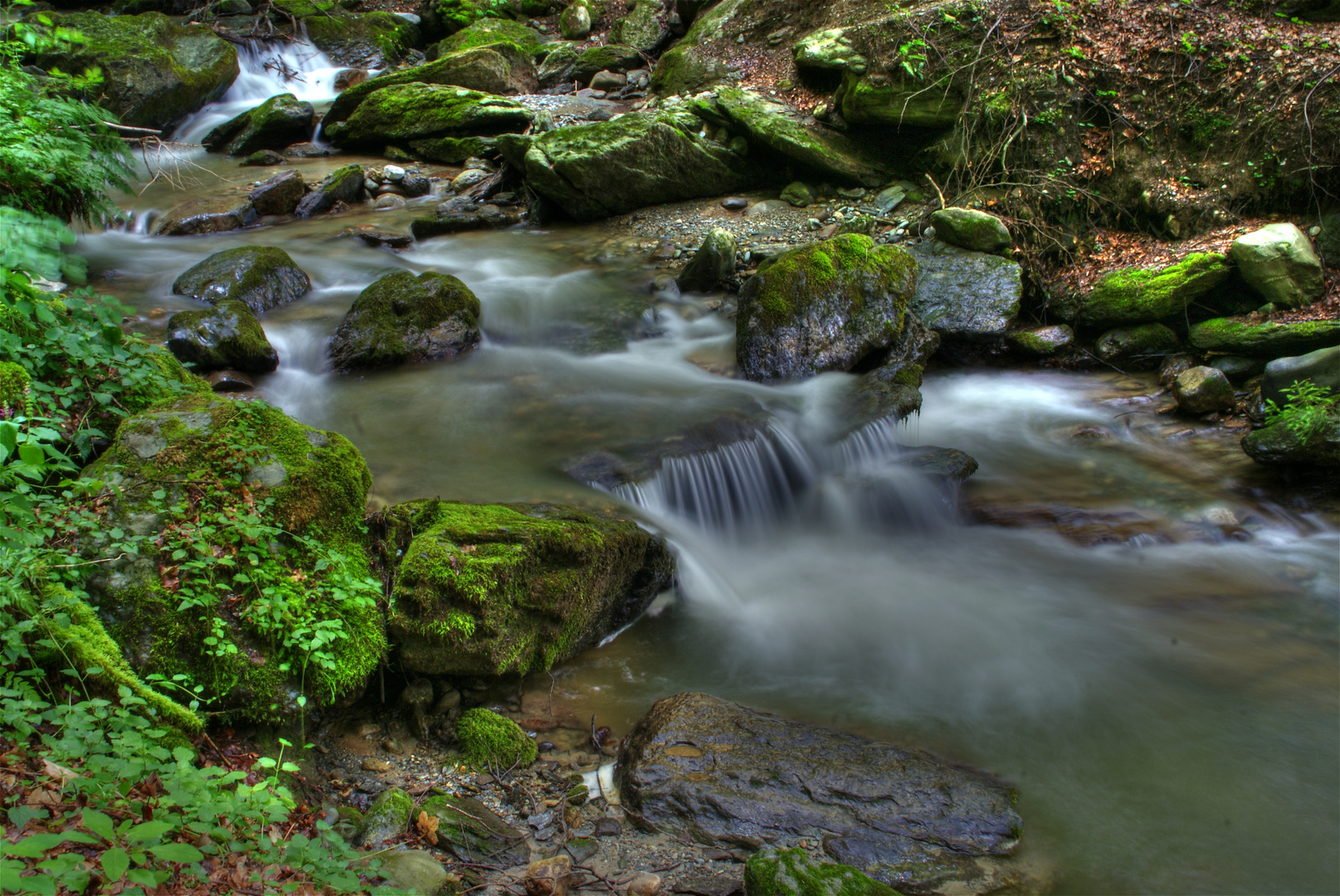 Bachlauf in den Alpen