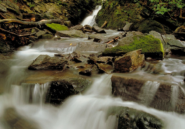 Bachlauf in den Ardennen