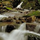 Bachlauf in den Ardennen