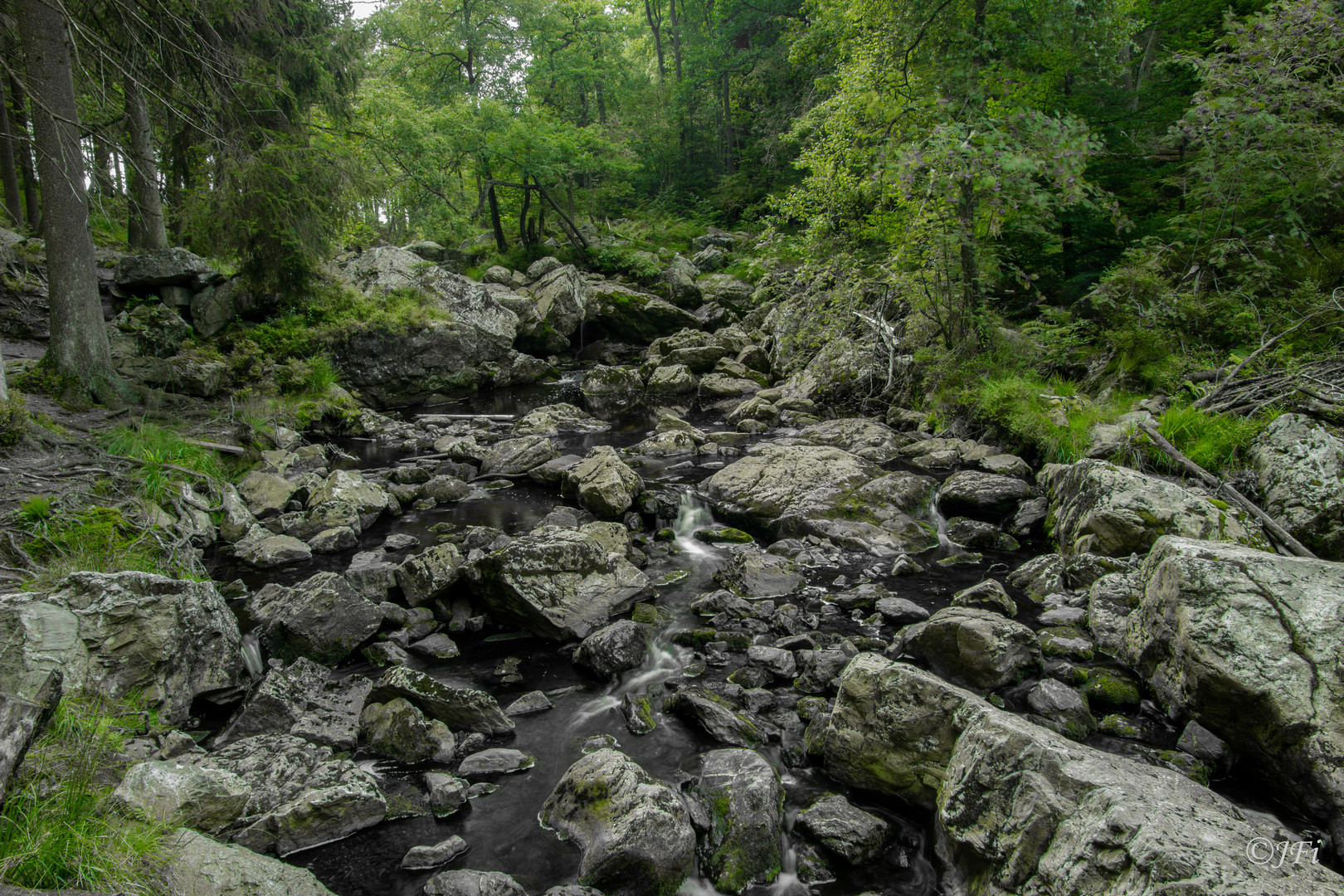 Bachlauf in den Ardennen