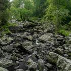 Bachlauf in den Ardennen