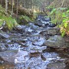 Bachlauf in den Bergen Mittelnorwegens