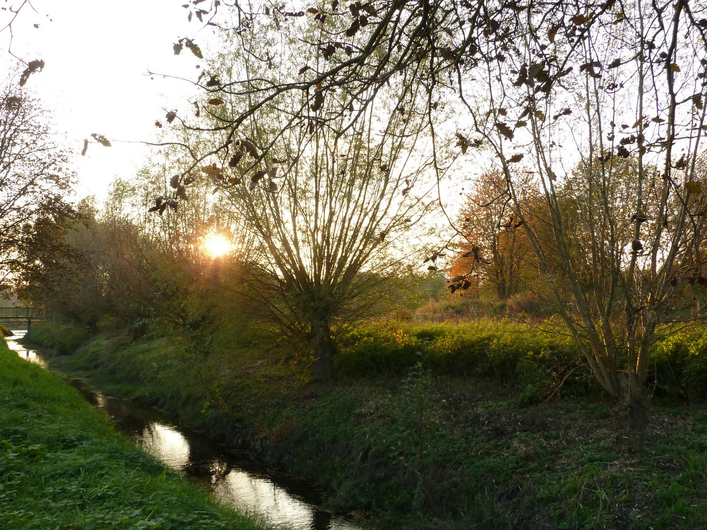 Bachlauf in den Ruhrwiesen