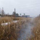 Bachlauf in den Wassergärten Landsweiler-Reden