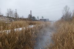 Bachlauf in den Wassergärten Landsweiler-Reden