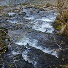 Bachlauf in der Eifel