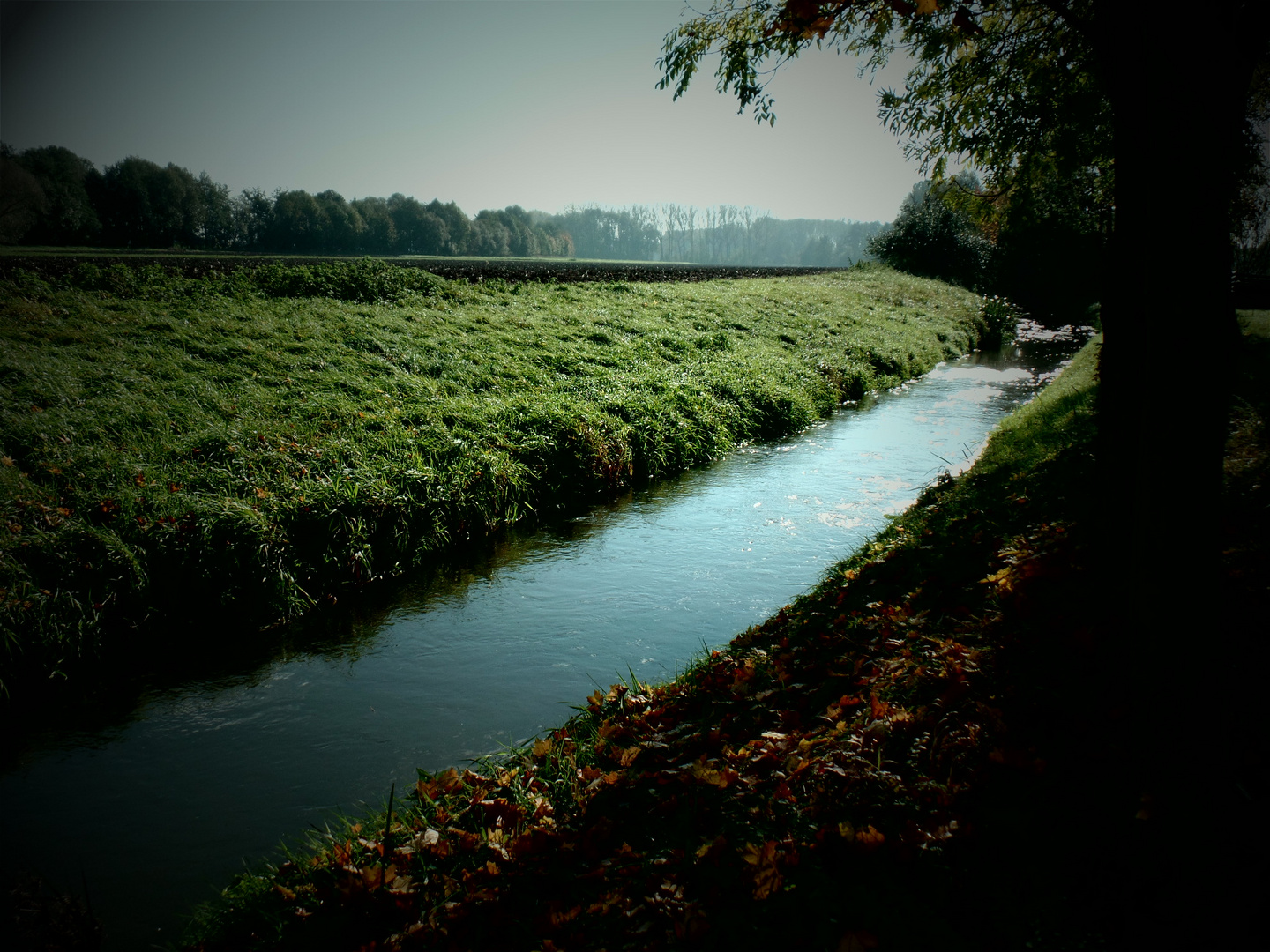 Bachlauf in der Herbstsonne