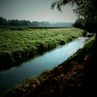 Bachlauf in der Herbstsonne