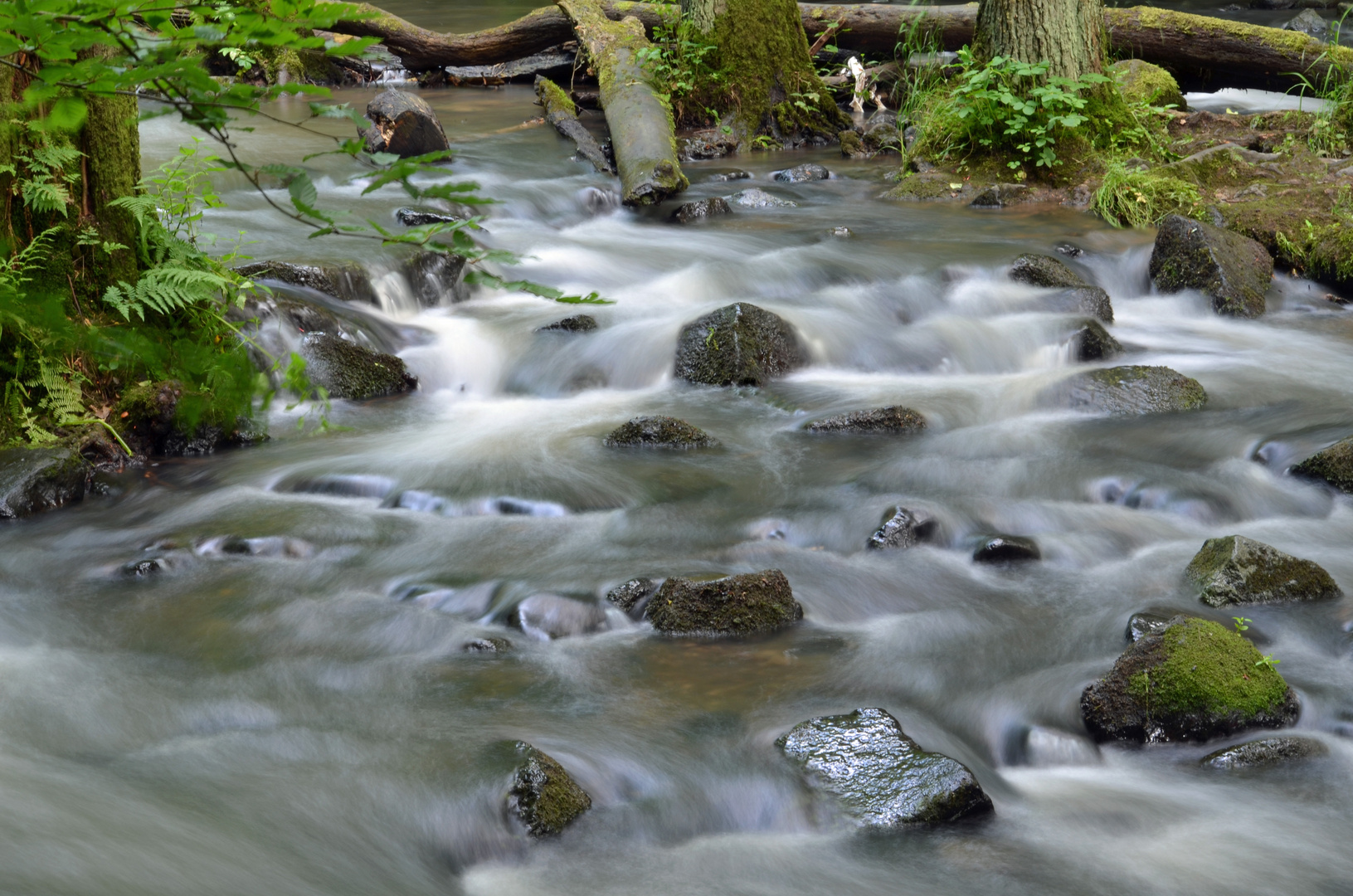 Bachlauf in der Holzbachschlucht