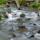 Bachlauf in der Holzbachschlucht