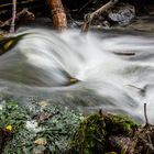 Bachlauf in der Horst