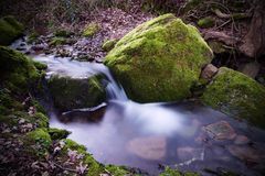 Bachlauf in der Leberklinge 2