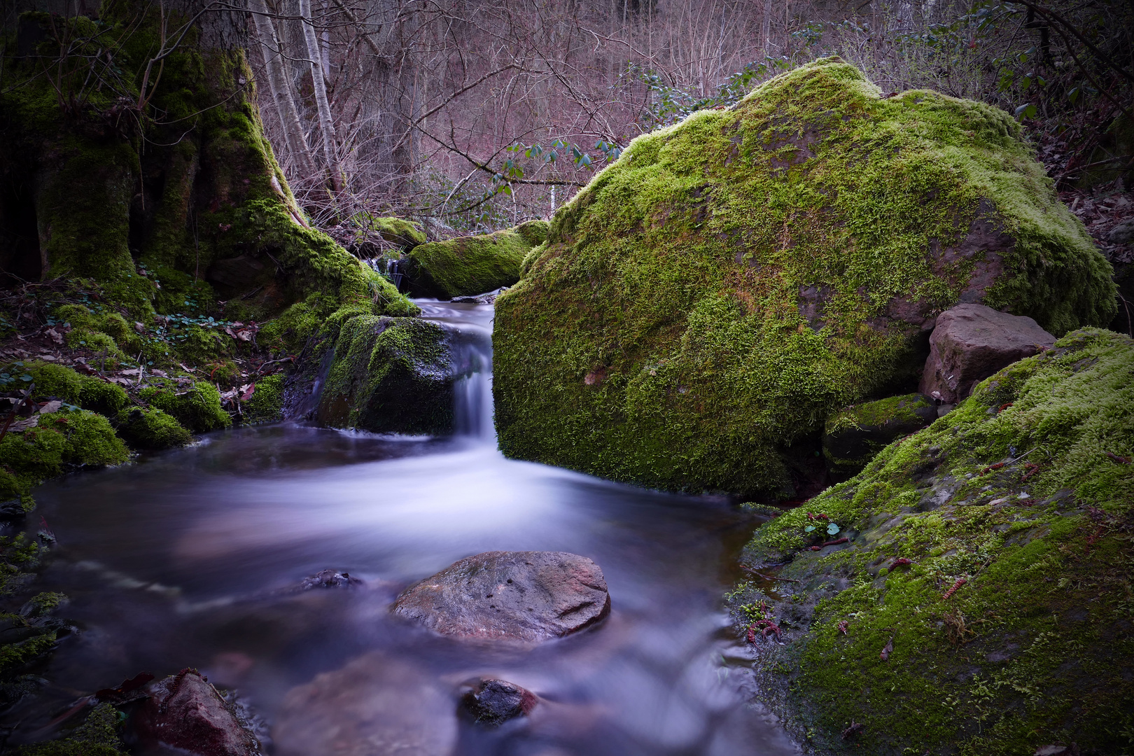 Bachlauf in der Leberklinge 3