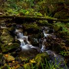 Bachlauf in der Ravenna Schlucht