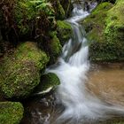 Bachlauf in der Sächsischen Schweiz