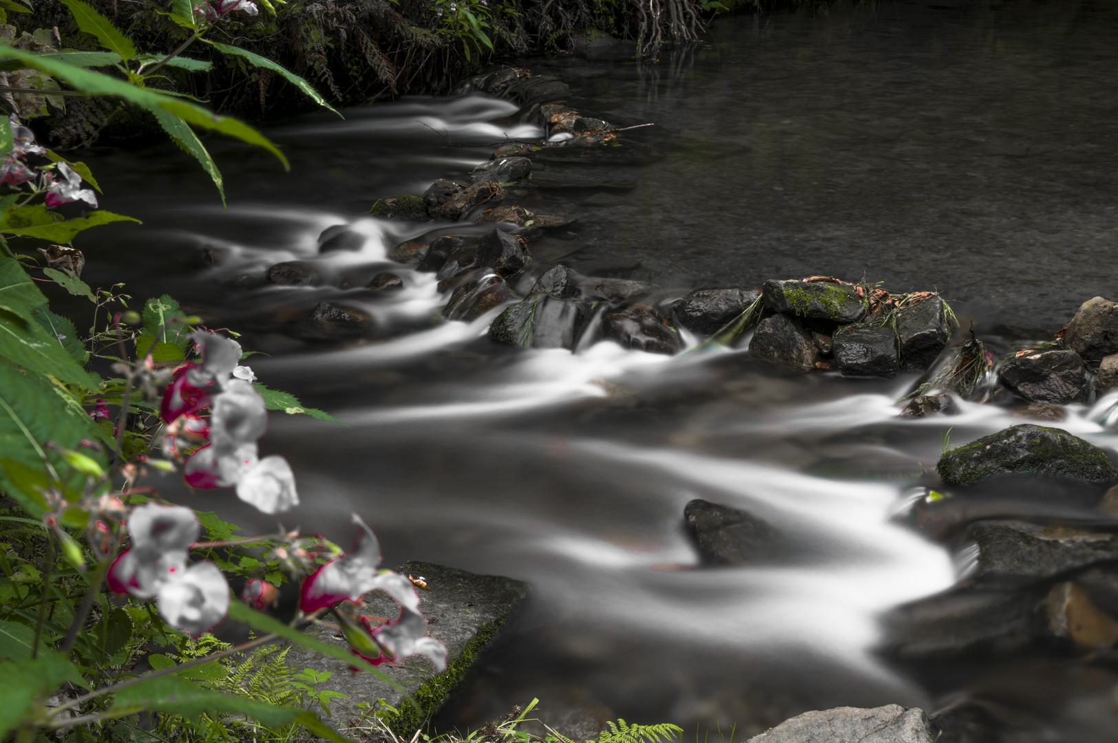 Bachlauf in der Sächsischen Schweiz