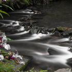 Bachlauf in der Sächsischen Schweiz