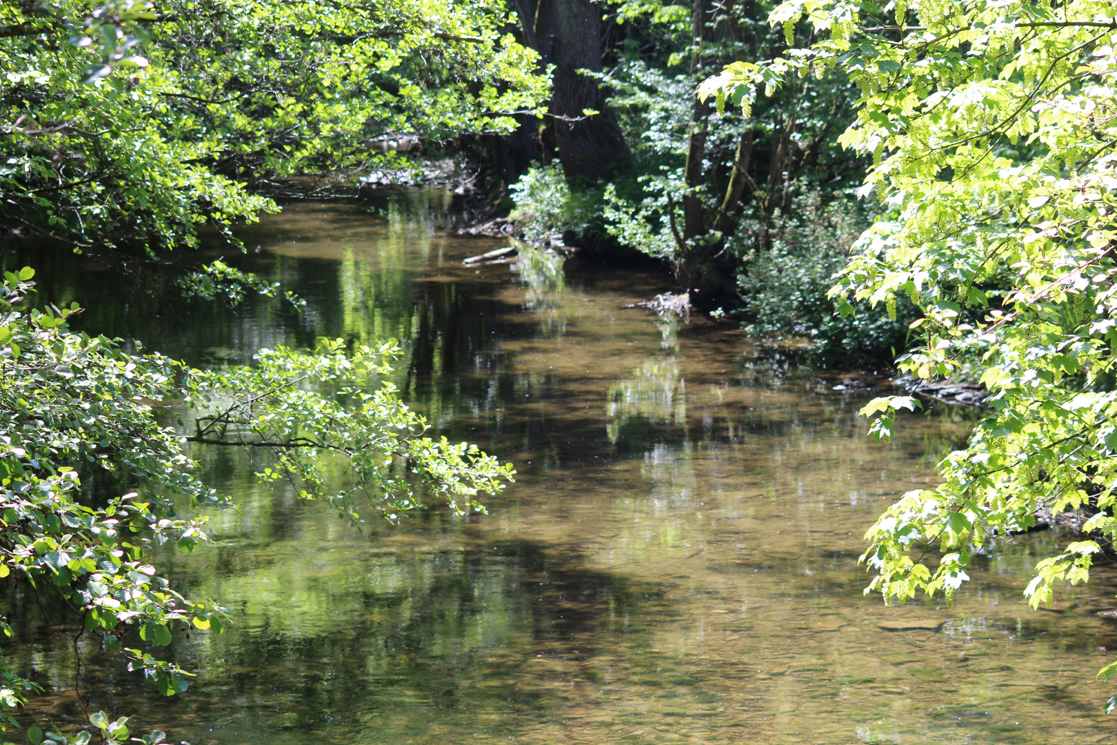 Bachlauf in der Sonne 