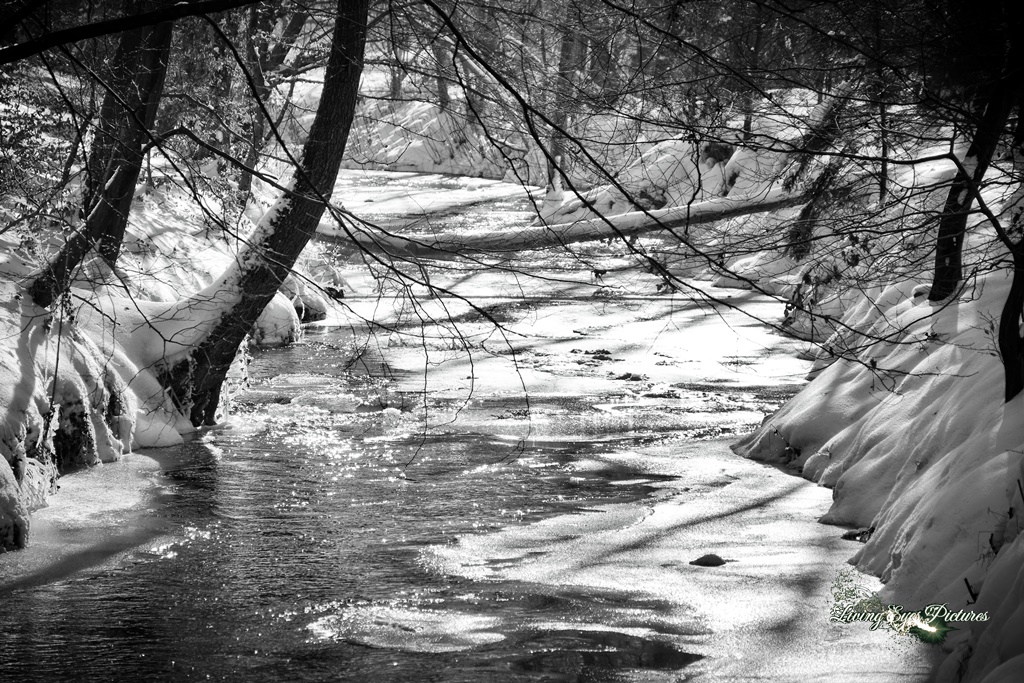 Bachlauf in der Wintersonne